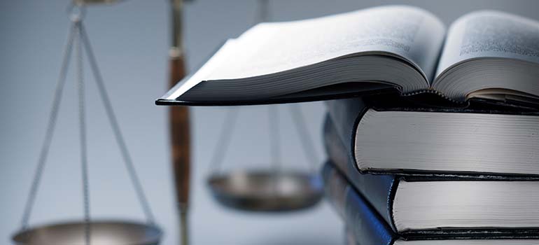 complex litigation experts